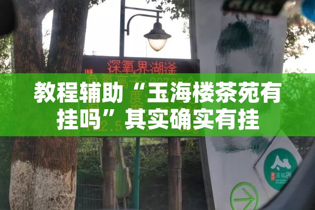 教程辅助“玉海楼茶苑有挂吗”其实确实有挂