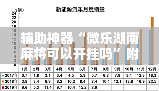 辅助神器“微乐湖南麻将可以开挂吗”附辅助神器开挂脚本详细步骤