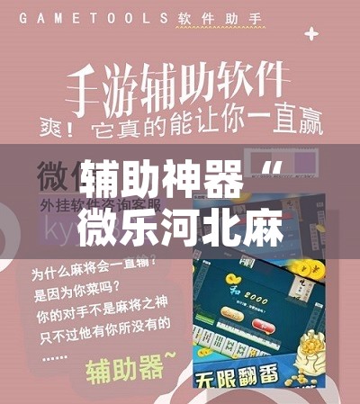 辅助神器“微乐河北麻将小程序万能挂免费版	”开挂辅助脚本+详细开挂安装教程