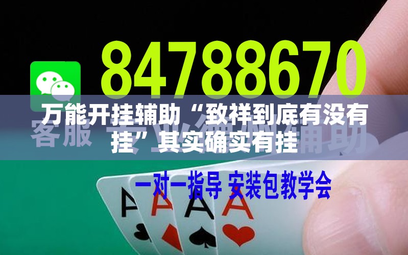 万能开挂辅助“致祥到底有没有挂”其实确实有挂