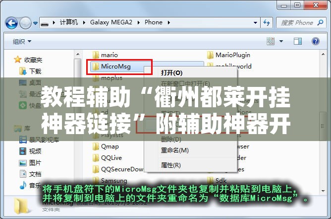 教程辅助“衢州都莱开挂神器链接”附辅助神器开挂脚本详细步骤