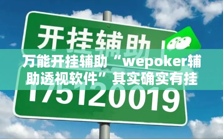 万能开挂辅助“wepoker辅助透视软件	”其实确实有挂