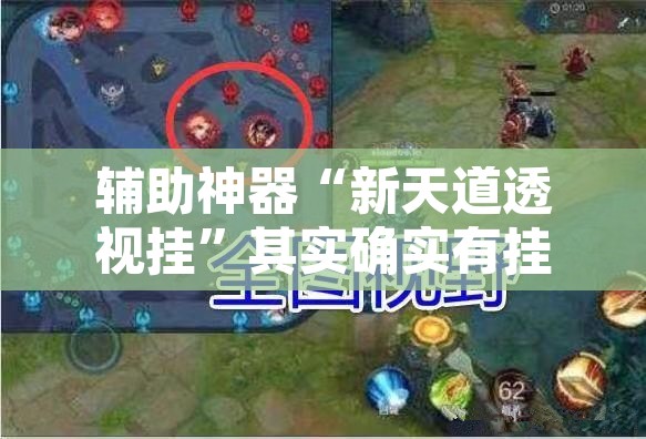 辅助神器“新天道透视挂”其实确实有挂