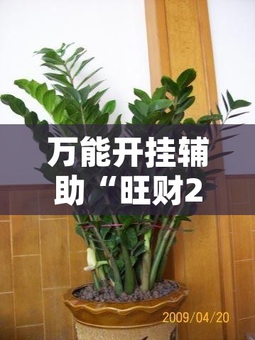 万能开挂辅助“旺财28是不是有挂”其实确实有挂