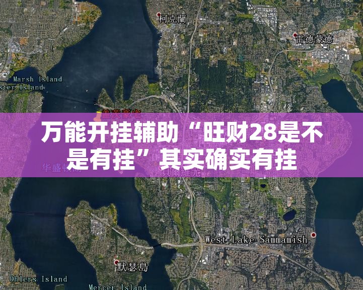 万能开挂辅助“旺财28是不是有挂”其实确实有挂