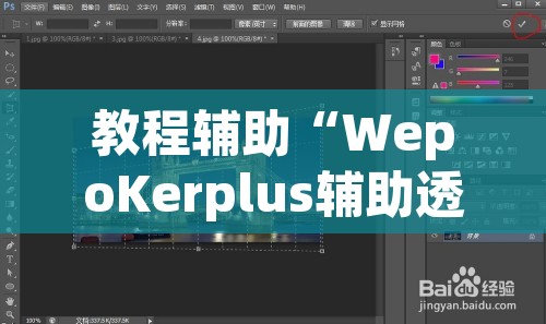 教程辅助“WepoKerplus辅助透视软件挂	”其实确实有挂