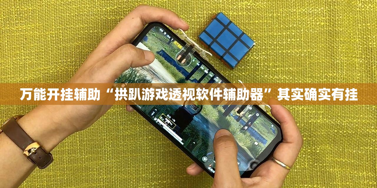 万能开挂辅助“拱趴游戏透视软件辅助器”其实确实有挂
