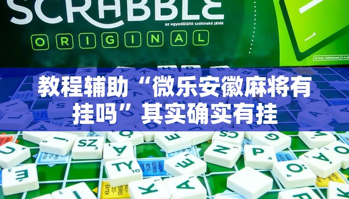 教程辅助“微乐安徽麻将有挂吗”其实确实有挂