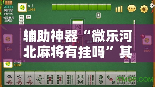 辅助神器“微乐河北麻将有挂吗”其实确实有挂