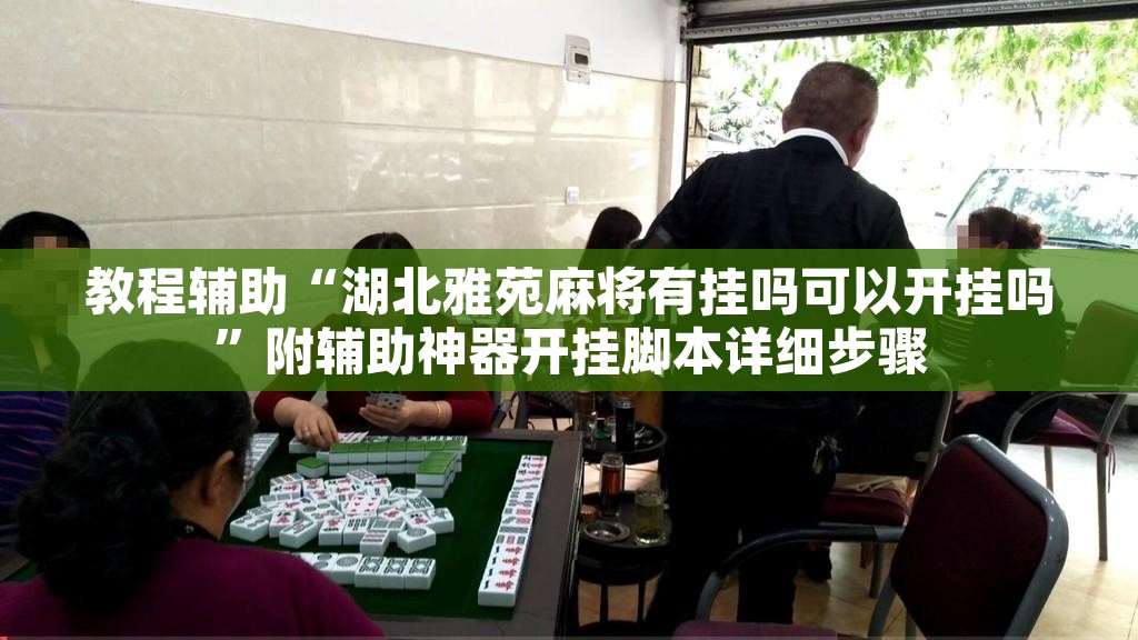 教程辅助“湖北雅苑麻将有挂吗可以开挂吗”附辅助神器开挂脚本详细步骤