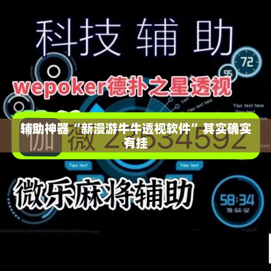 辅助神器“新漫游牛牛透视软件”其实确实有挂