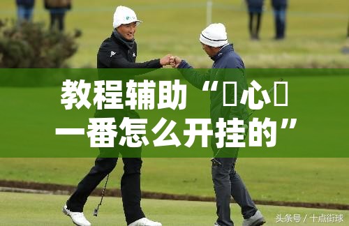 教程辅助“開心門一番怎么开挂的	”其实确实有挂