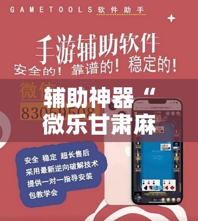 辅助神器“微乐甘肃麻将万能开挂器通用版”开挂辅助脚本+详细开挂安装教程