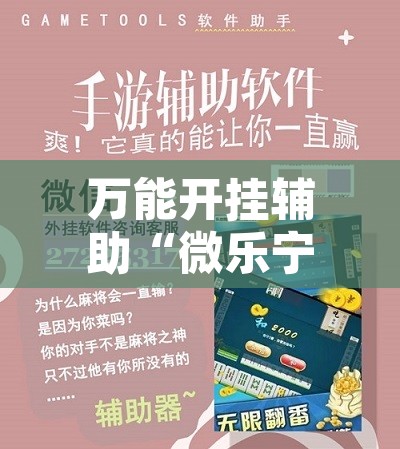 万能开挂辅助“微乐宁夏开挂下载安装”其实确实有挂
