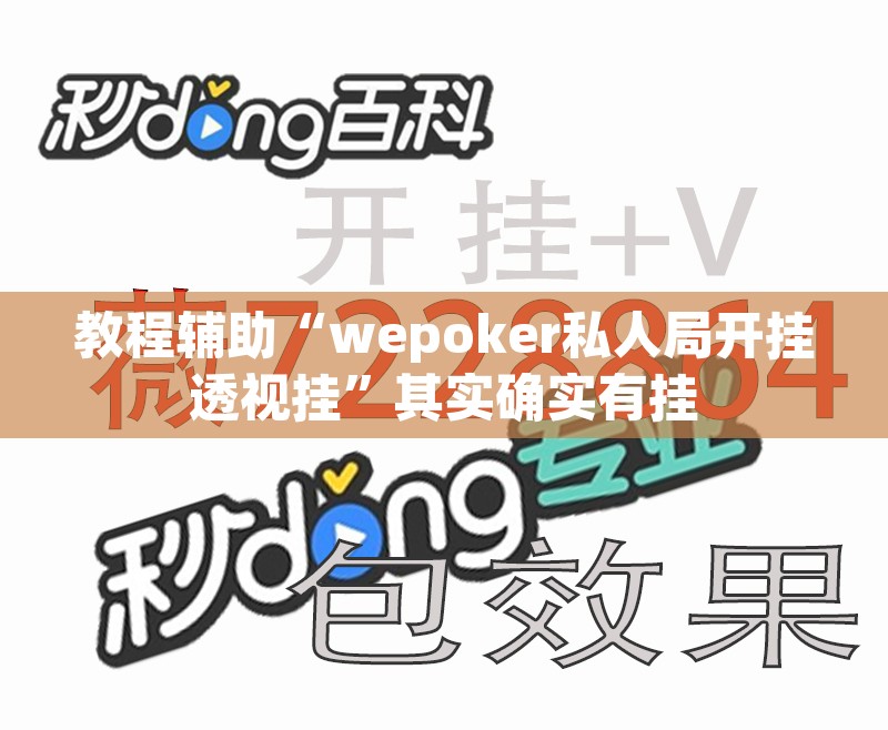 教程辅助“wepoker私人局开挂透视挂”其实确实有挂