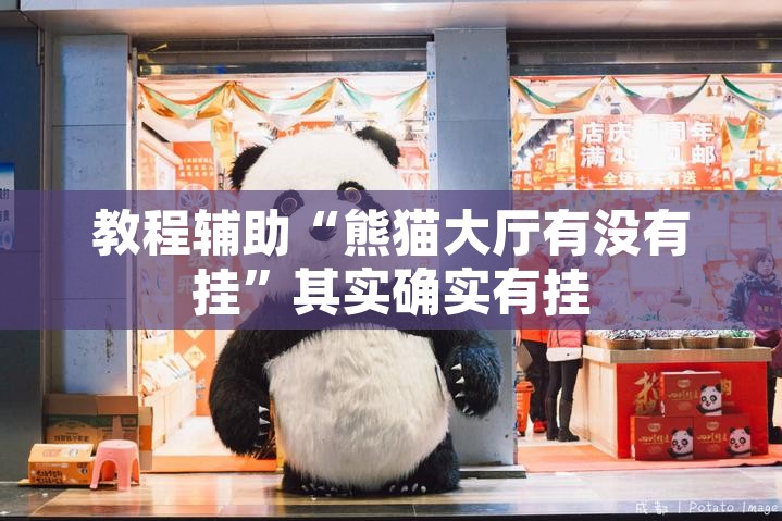 教程辅助“熊猫大厅有没有挂”其实确实有挂
