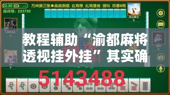 教程辅助“渝都麻将透视挂外挂	”其实确实有挂
