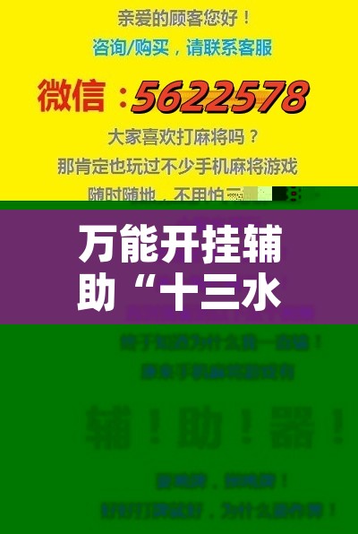 万能开挂辅助“十三水万能辅助器使用方法”开挂辅助脚本+详细开挂安装教程