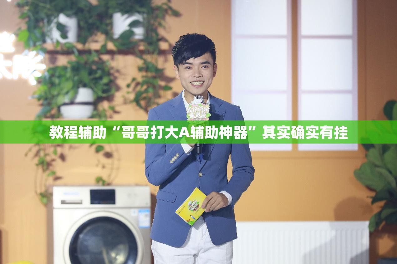 教程辅助“哥哥打大A辅助神器”其实确实有挂