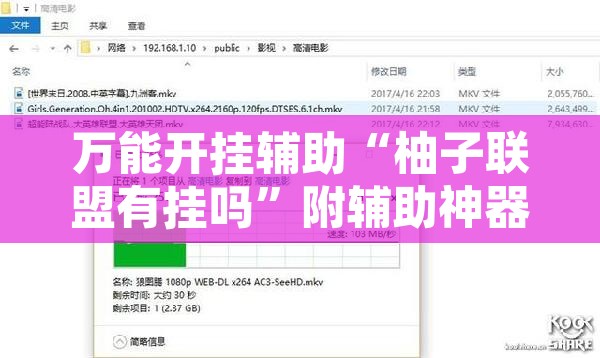 万能开挂辅助“柚子联盟有挂吗”附辅助神器开挂脚本详细步骤