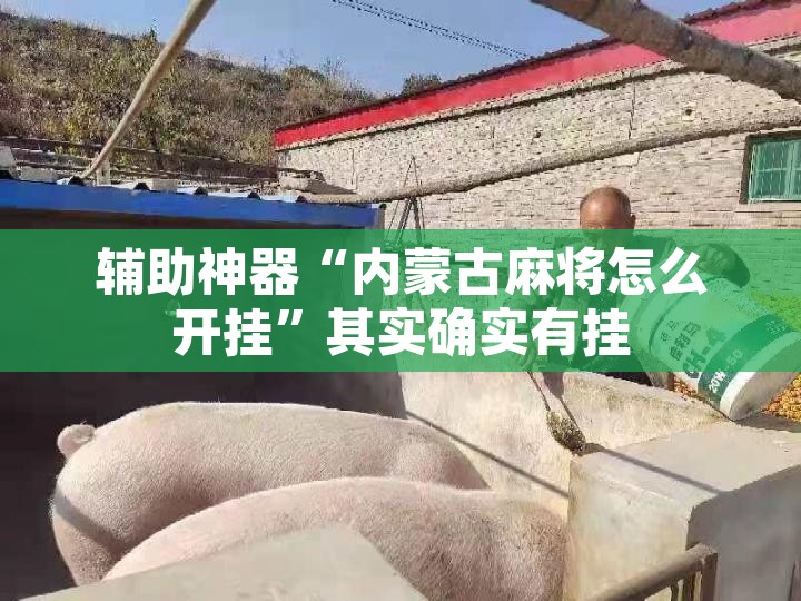 辅助神器“内蒙古麻将怎么开挂”其实确实有挂