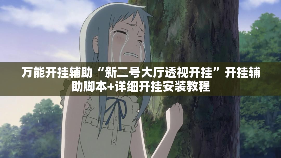万能开挂辅助“新二号大厅透视开挂”开挂辅助脚本+详细开挂安装教程