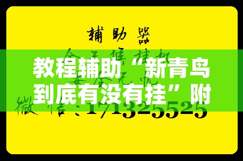 教程辅助“新青鸟到底有没有挂”附辅助神器开挂脚本详细步骤