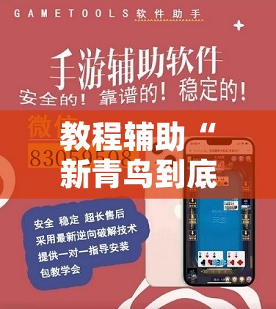 教程辅助“新青鸟到底有没有挂”附辅助神器开挂脚本详细步骤