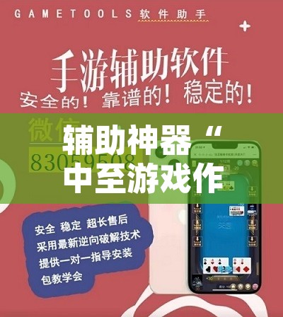 辅助神器“中至游戏作弊辅助”开挂辅助脚本+详细开挂安装教程