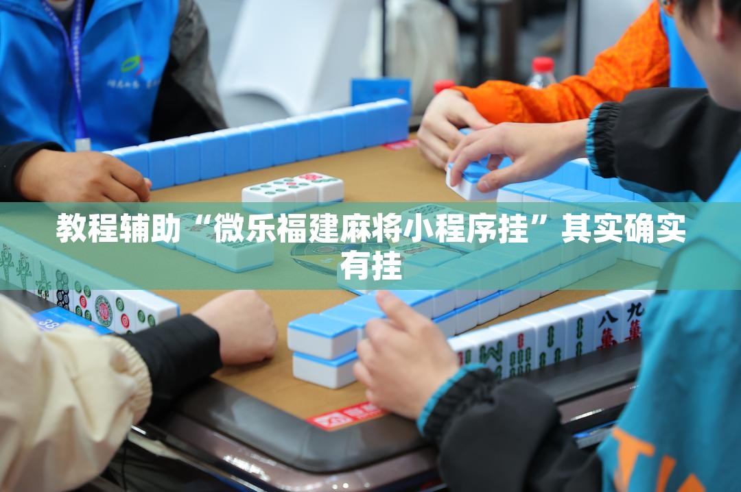 教程辅助“微乐福建麻将小程序挂”其实确实有挂