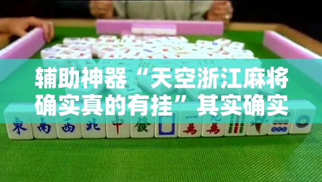辅助神器“天空浙江麻将确实真的有挂”其实确实有挂