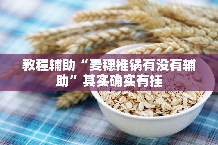 教程辅助“麦穗推锅有没有辅助”其实确实有挂