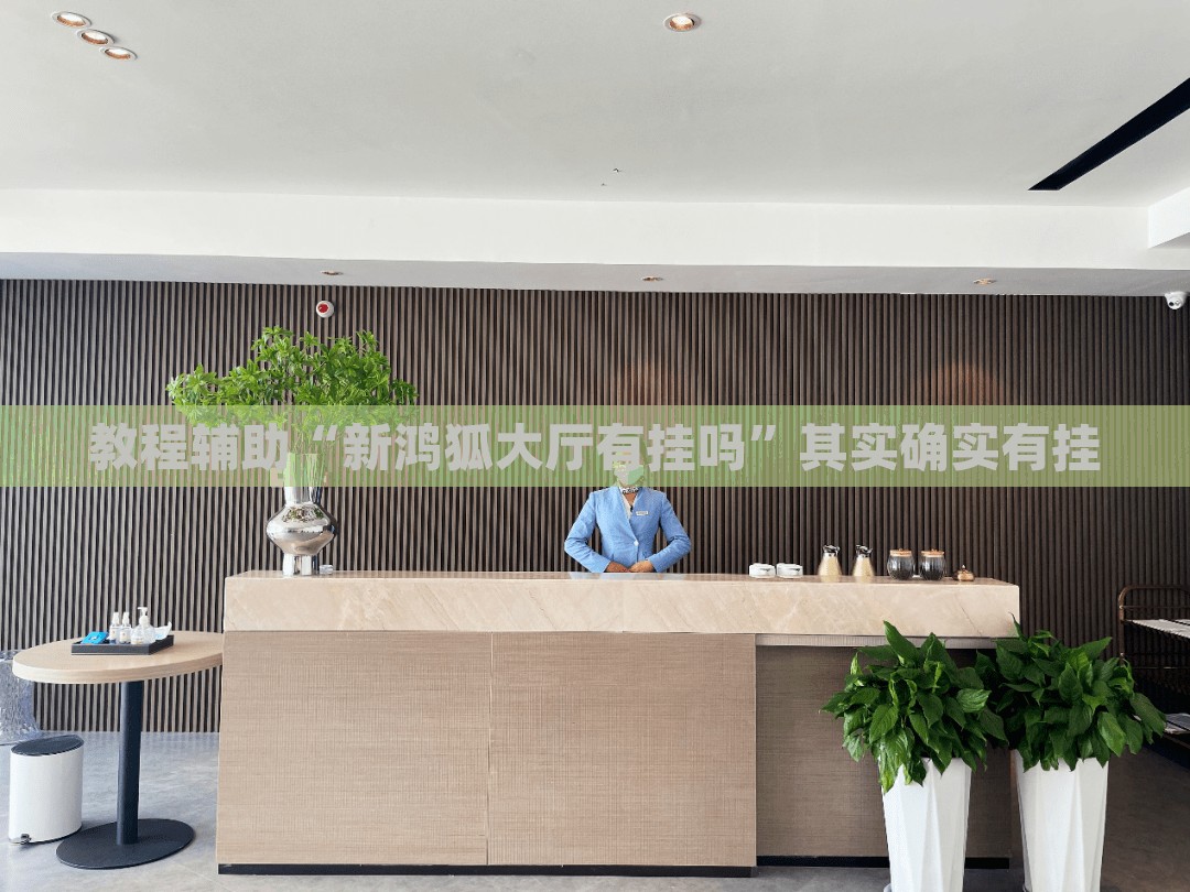 教程辅助“新鸿狐大厅有挂吗”其实确实有挂