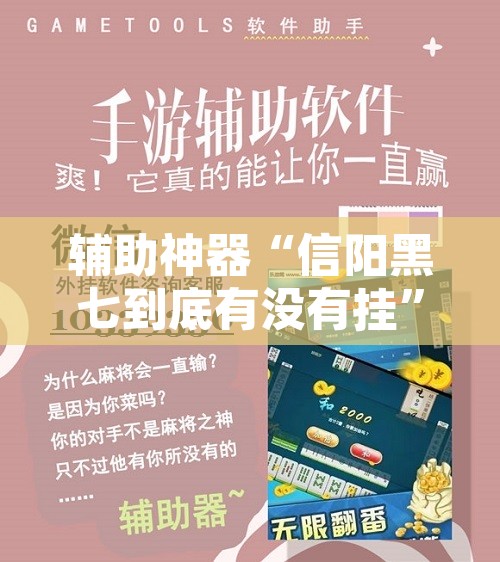 辅助神器“信阳黑七到底有没有挂”开挂辅助脚本+详细开挂安装教程