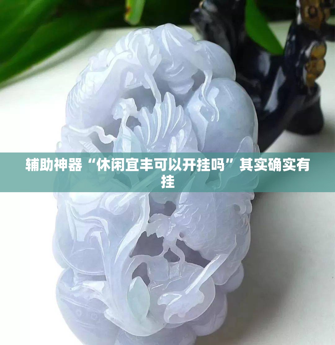 辅助神器“休闲宜丰可以开挂吗	”其实确实有挂