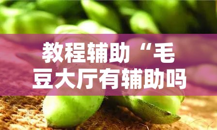 教程辅助“毛豆大厅有辅助吗	”其实确实有挂