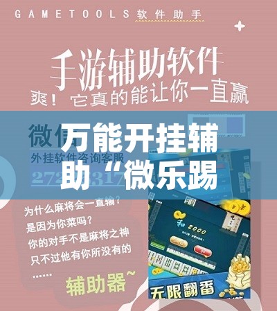 万能开挂辅助“微乐踢坑透视挂下载”开挂辅助脚本+详细开挂安装教程