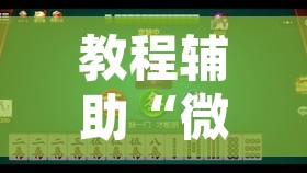 教程辅助“微乐福建麻将小程序挂”附辅助神器开挂脚本详细步骤