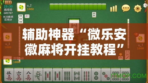 辅助神器“微乐安徽麻将开挂教程”附辅助神器开挂脚本详细步骤