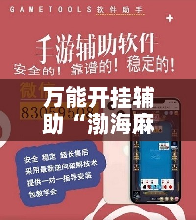 辅助神器“微乐安徽麻将开挂神器下载”开挂辅助脚本+详细开挂安装教程