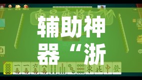 辅助神器“浙衢麻将开挂器”其实确实有挂