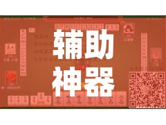 辅助神器“浙衢麻将开挂器”其实确实有挂