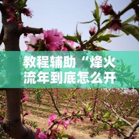 教程辅助“烽火流年到底怎么开挂”其实确实有挂