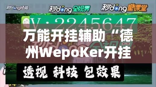 万能开挂辅助“德州WepoKer开挂透视教程”开挂辅助脚本+详细开挂安装教程
