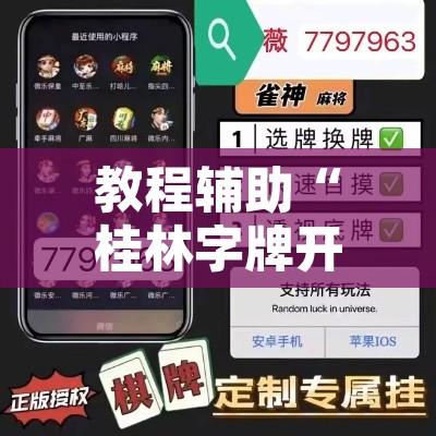 教程辅助“桂林字牌开挂神器下载	”开挂辅助脚本+详细开挂安装教程