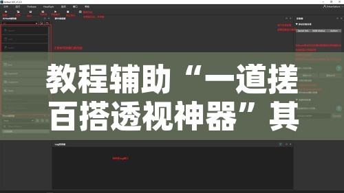 教程辅助“一道搓百搭透视神器	”其实确实有挂