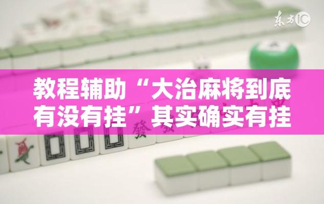 教程辅助“大治麻将到底有没有挂”其实确实有挂