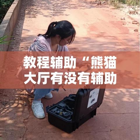 辅助神器“新毛豆可以开挂吗”附辅助神器开挂脚本详细步骤