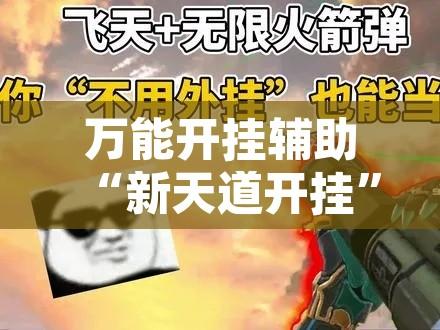 万能开挂辅助“新天道开挂”其实确实有挂