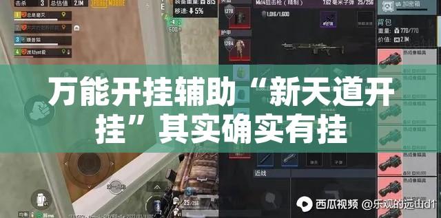 万能开挂辅助“新天道开挂	”其实确实有挂